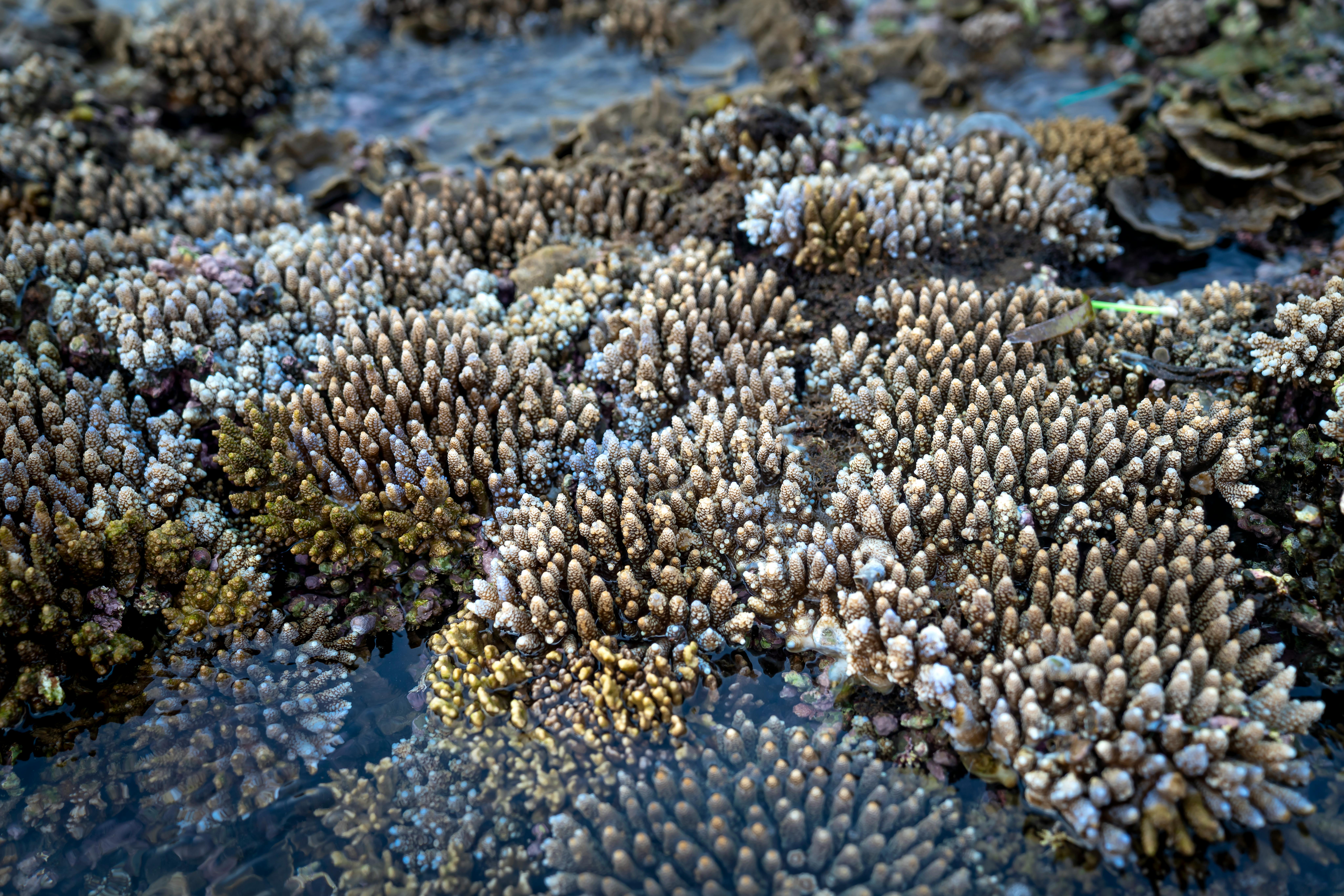 美元/日元当面在150円台波动，警惕汇率干预风险
