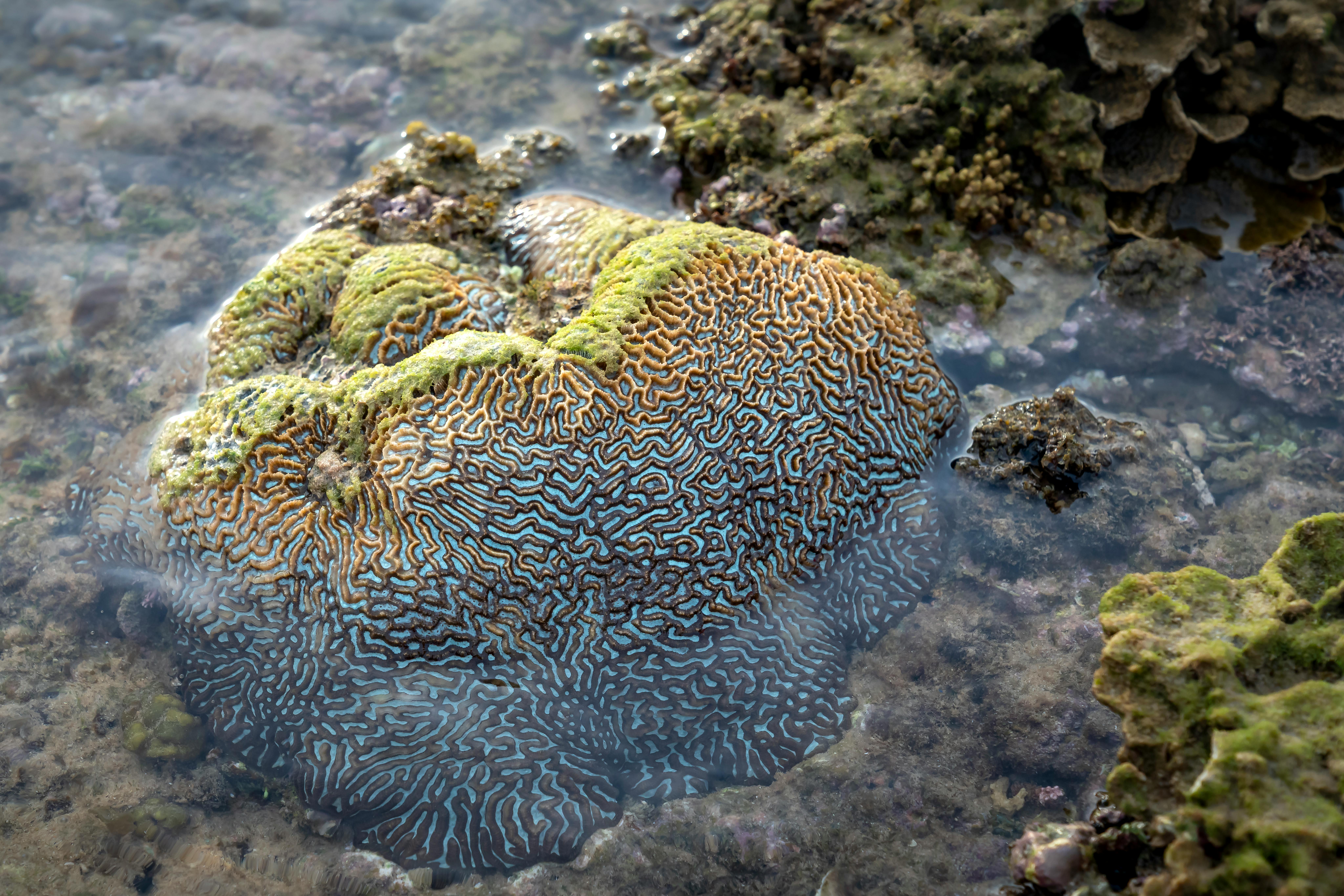 Natane+Adcock Photos, Download The BEST Free Natane+Adcock Stock Photos