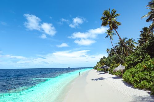 Free Pristine beach with turquoise water and lush palms under a bright blue sky. Stock Photo