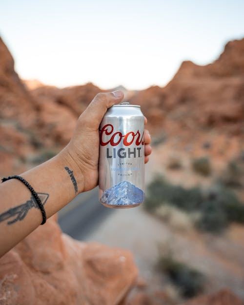 Kostenloses Stock Foto zu bier, büchse, festhalten