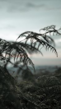 Image by Nur Andi Ravsanjani Gusma