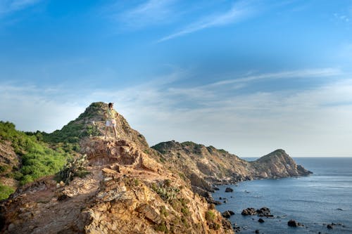 Foto d'estoc gratuïta de a l'aire lliure, admirar, anònim