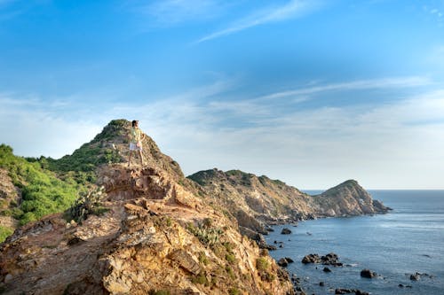 Foto d'estoc gratuïta de a l'aire lliure, admirar, anònim