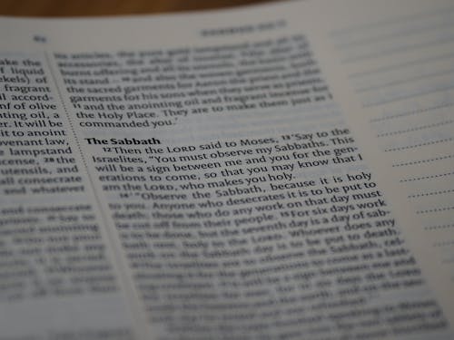 Close-Up Shot of Verses in the Bible