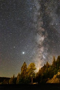 长时间曝光下的银河在夜间照亮树木，令人惊叹