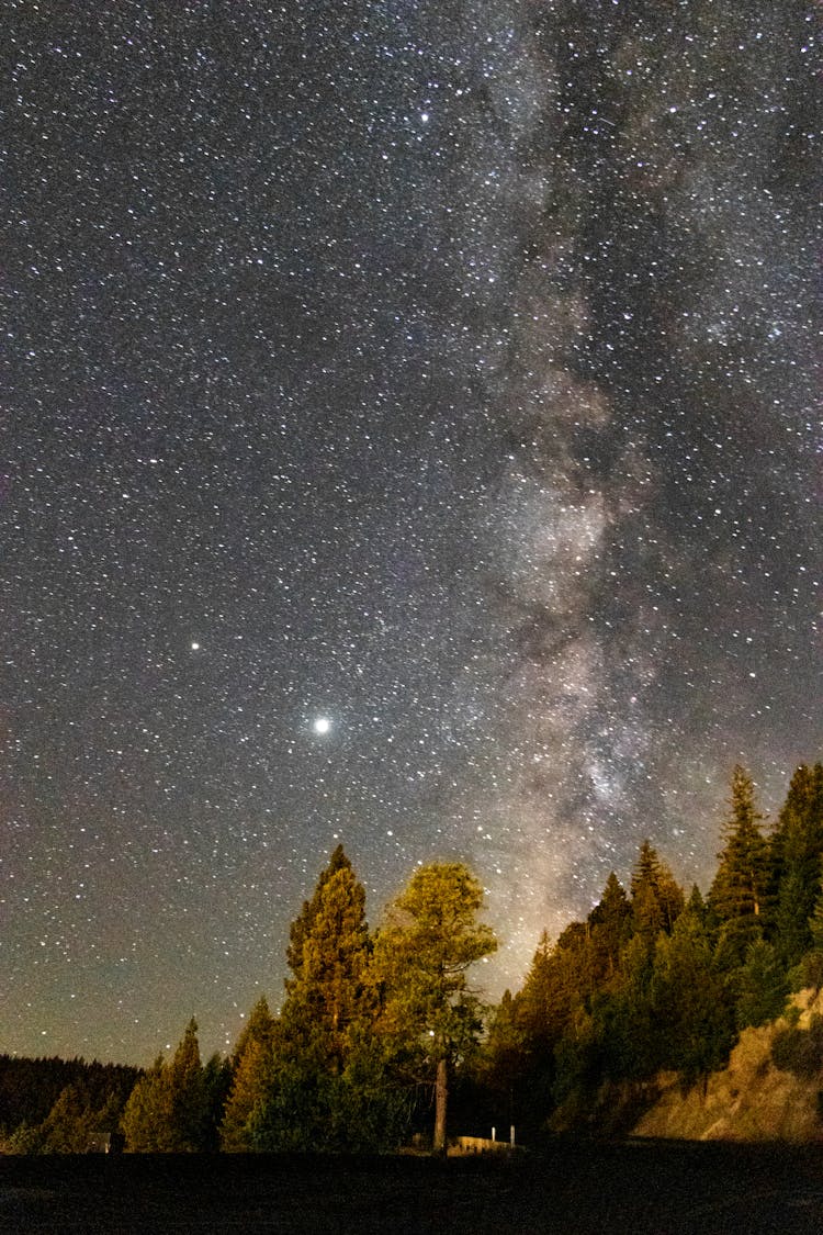 Wonderful Starry Sky Over Forest