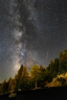 长时间仰望天空，明亮的银河奇妙地覆盖在林地绿树上方，散发着光芒