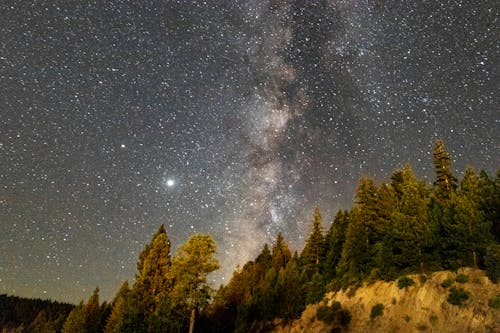 Milky Way surrounded by lots of small bright glowing stars in amazing night over lush forest on slope