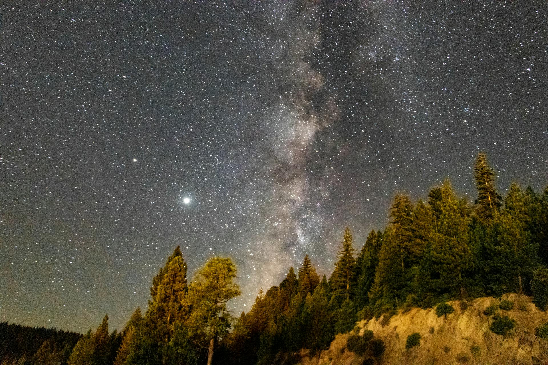 Milky Way surrounded by lots of small bright glowing stars in amazing night over lush forest on slope