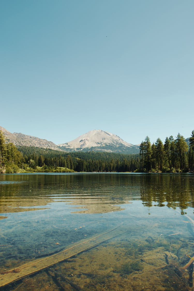 Transparent Crystal River Near Forest And Rocky Mountain