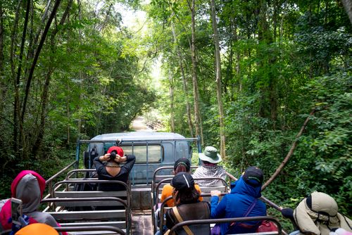 Free High angle of anonymous travelers sitting in back of truck driving through tropical trees in forest during trip Stock Photo