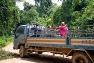Travelers sitting in truck driving on dusty road in lush forest while exploring nature during vacation