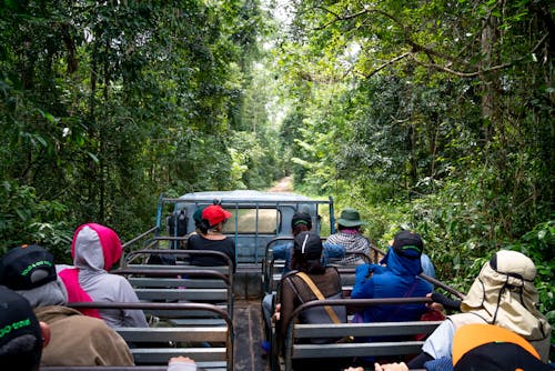 Anonymous travelers in headwear sitting on seats of truck driving through tropical forest