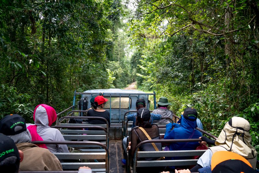 Safaris & Vacation Packages