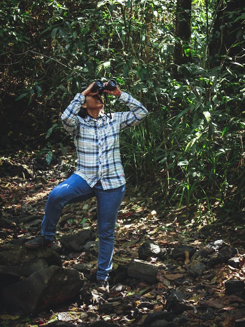 Person looking up into binoculars in lush forest