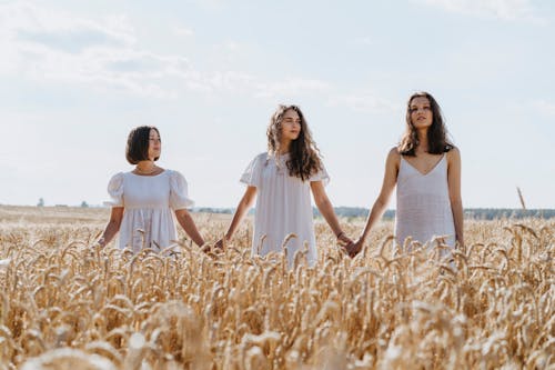 Immagine gratuita di azienda agricola, campagna, campo