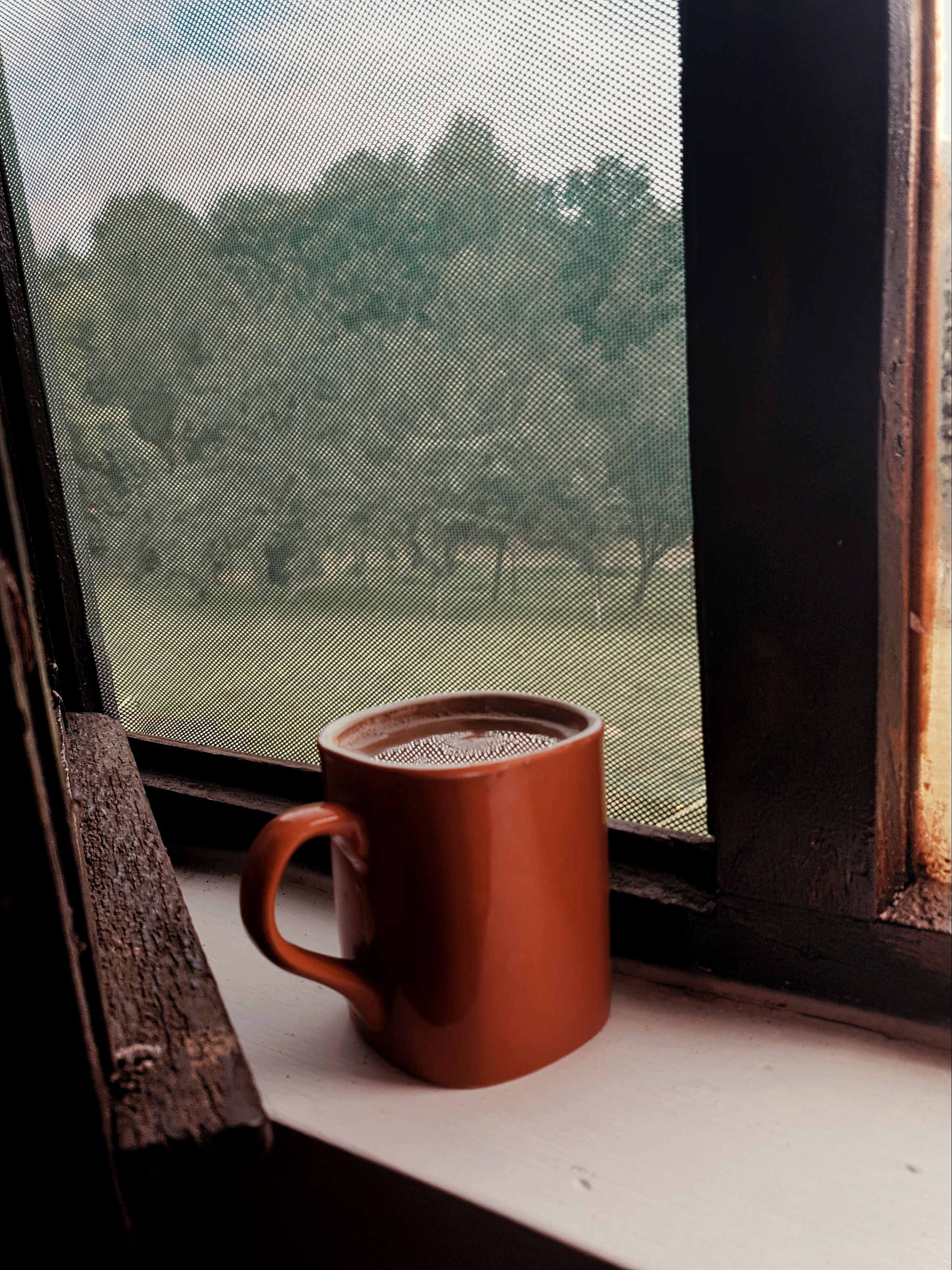 Free A warm brown mug sits on a windowsill, overlooking a lush, green landscape. Stock Photo