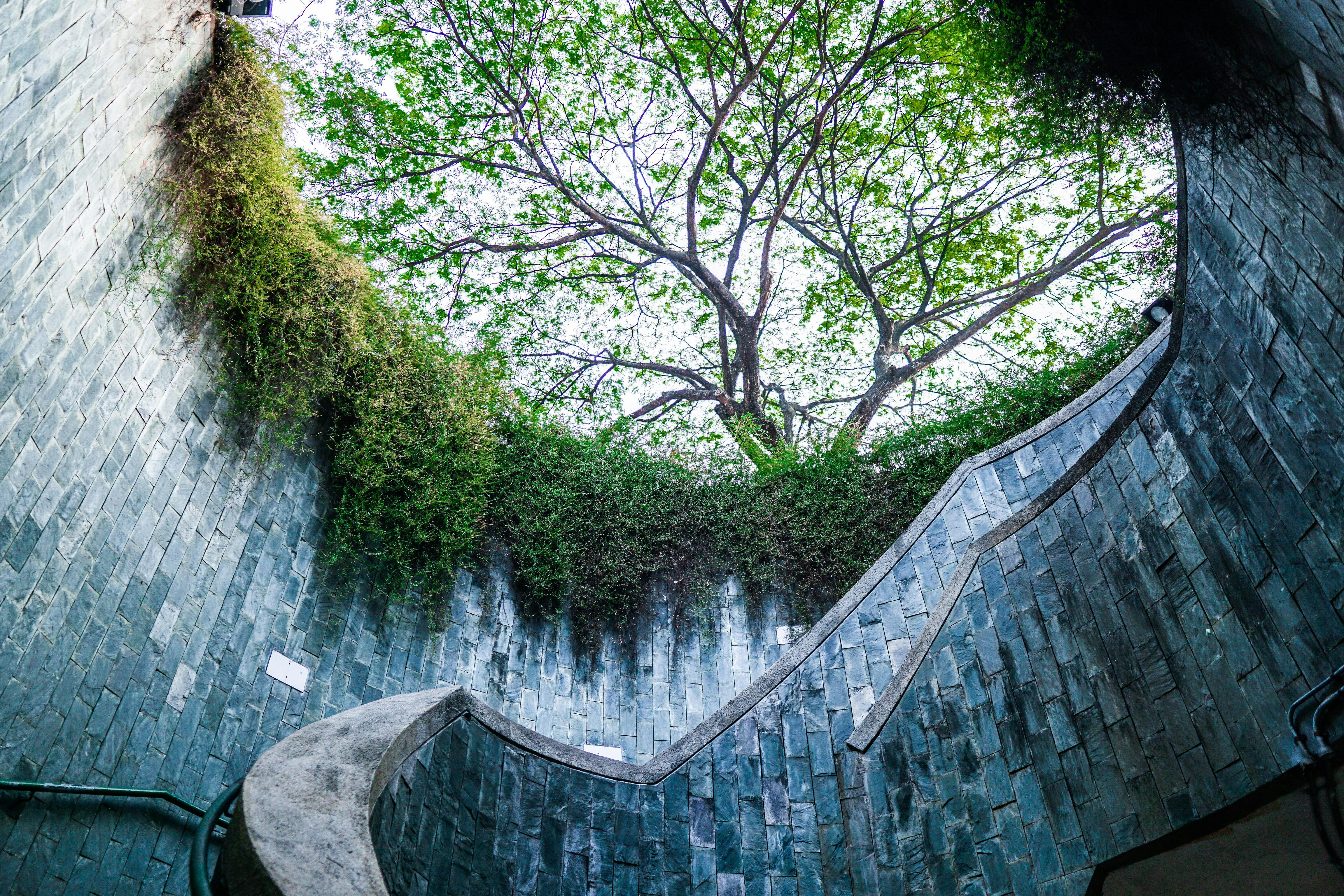 View of the spiral staircase leading to lush greenery at Fort Canning Park, Singapore.