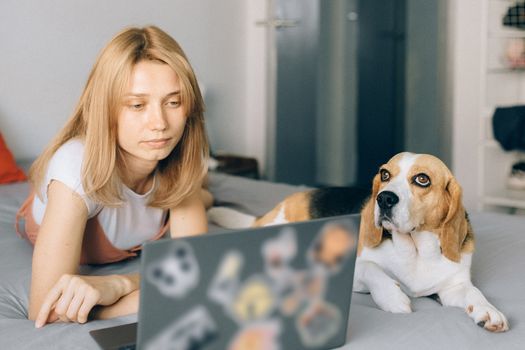 年轻女子在室内的床上用笔记本电脑工作，身边有一只小猎犬