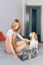一位穿着休闲装的年轻女子在家工作，床上躺着一只小猎犬