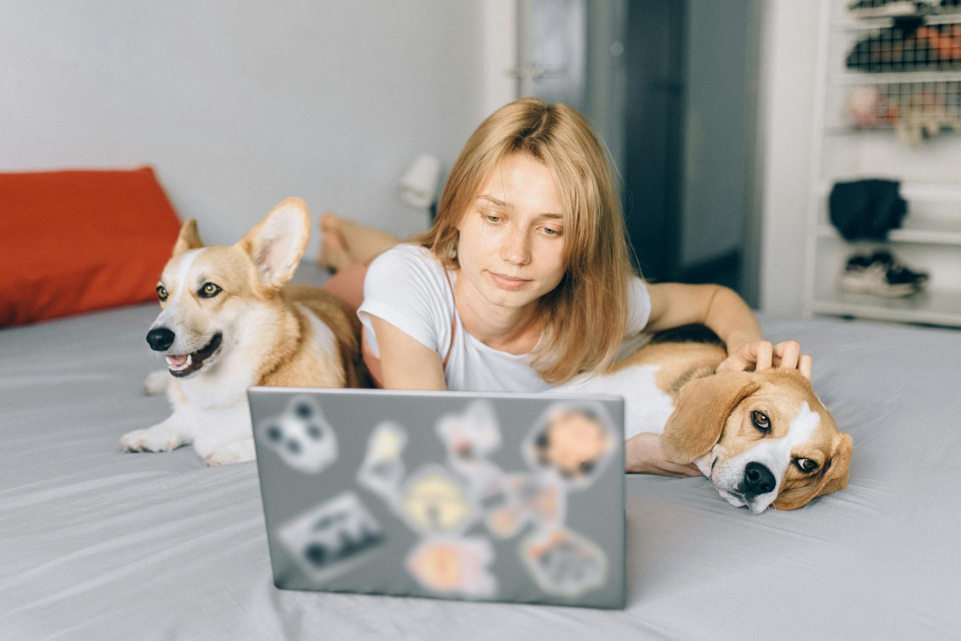 A Woman Petting Her Dogs while Working