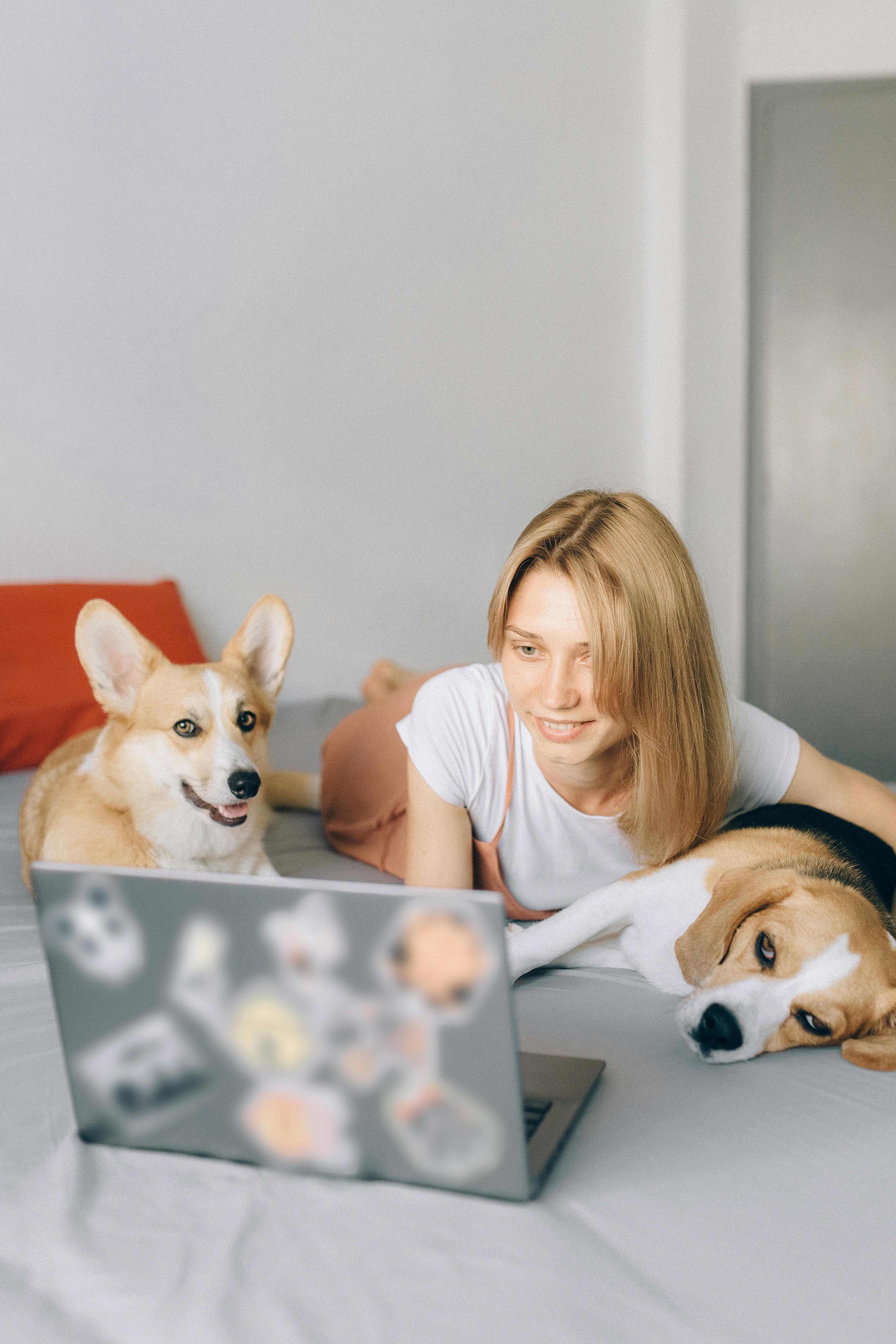 a woman lying down on the bed with her dogs while looking at laptop