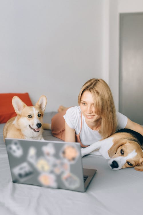 Free A Woman Lying Down on the Bed with Her Dogs while Looking at Laptop Stock Photo
