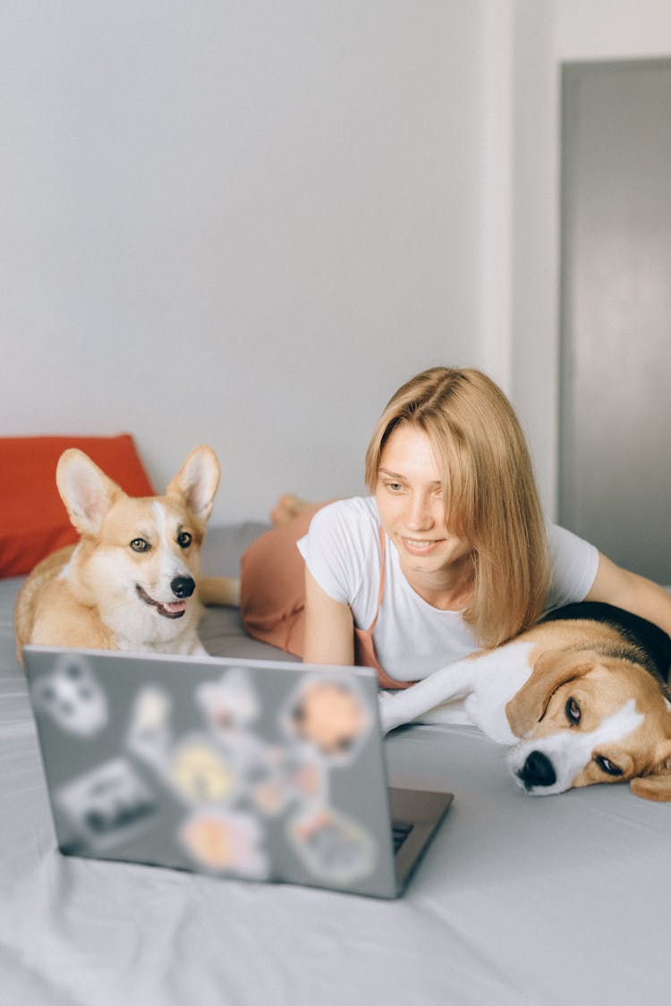 A Woman Lying Down On The Bed With Her Dogs While Looking At Laptop