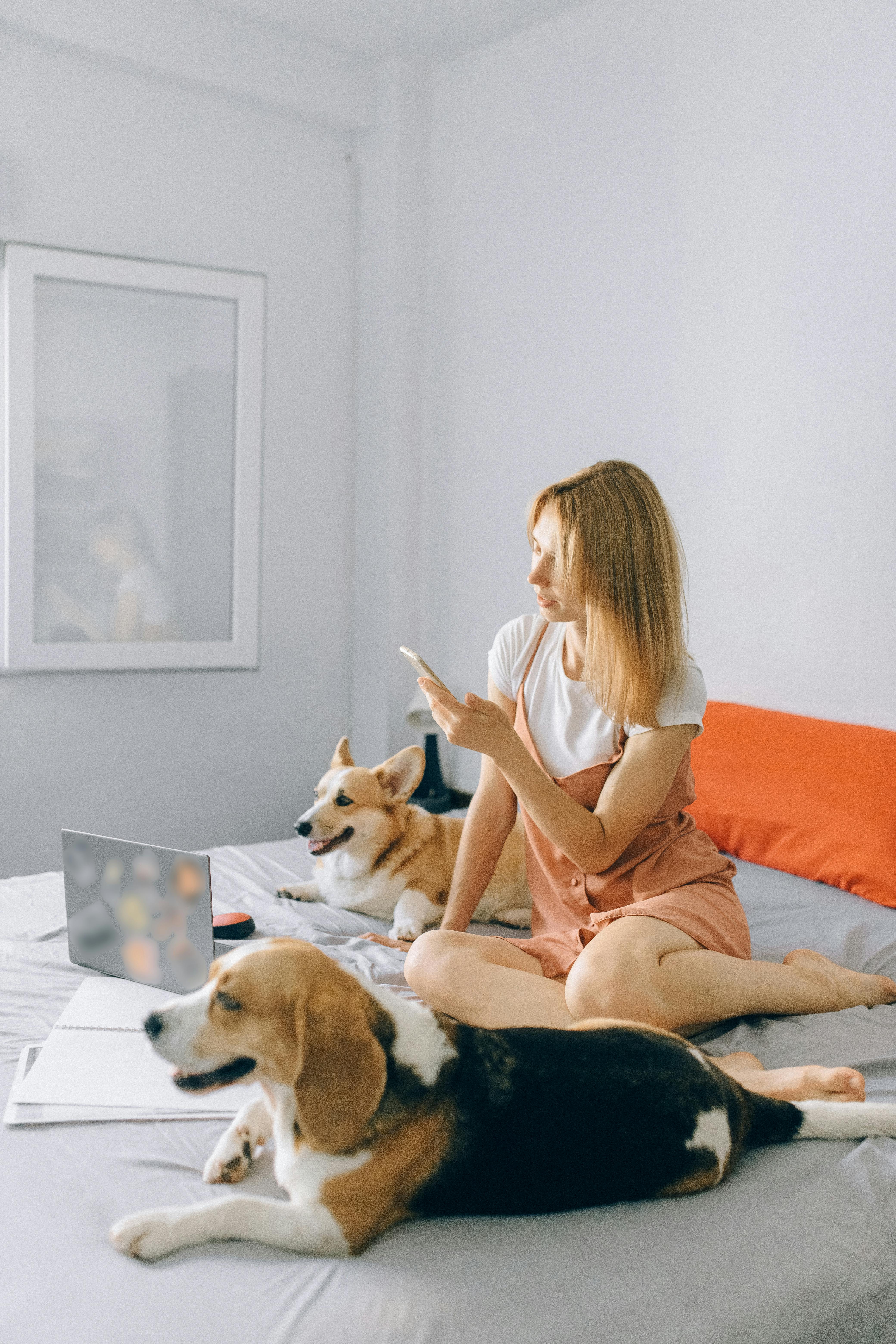 a woman sitting on the bed with her dogs while using her phone