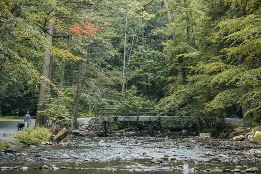 Footbridge over Wild River