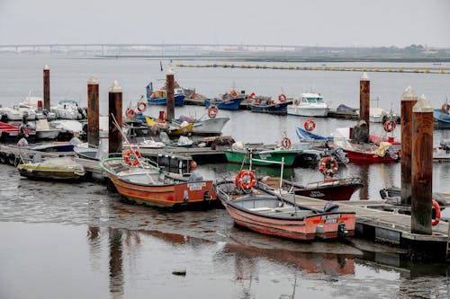 aveiro, bağlı, balıkçı tekneleri içeren Ücretsiz stok fotoğraf