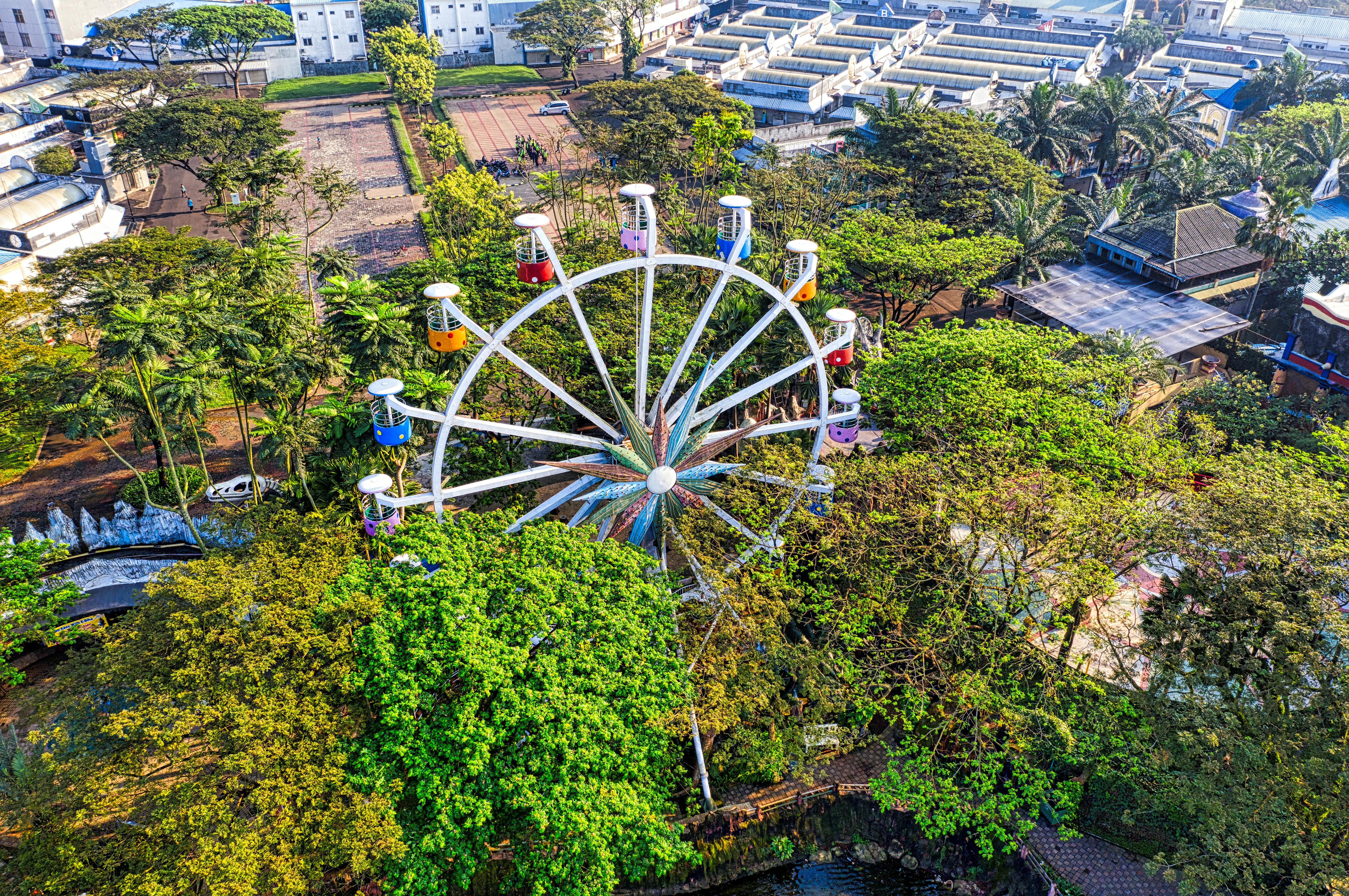 green and white ferris wheel surrounded by green trees