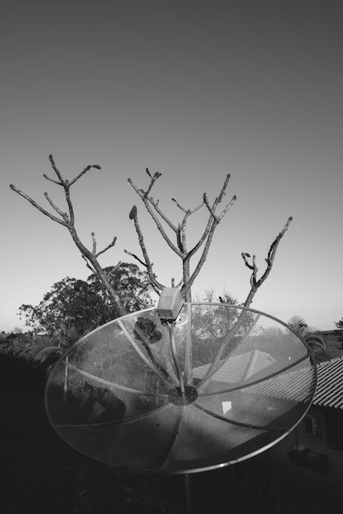 Darmowe zdjęcie z galerii z antena, anteny, biały