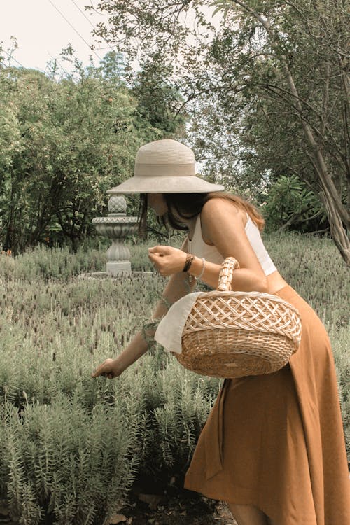 A Woman in a Hat Carrying a Woven Basket Picking Flowers