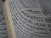 Text