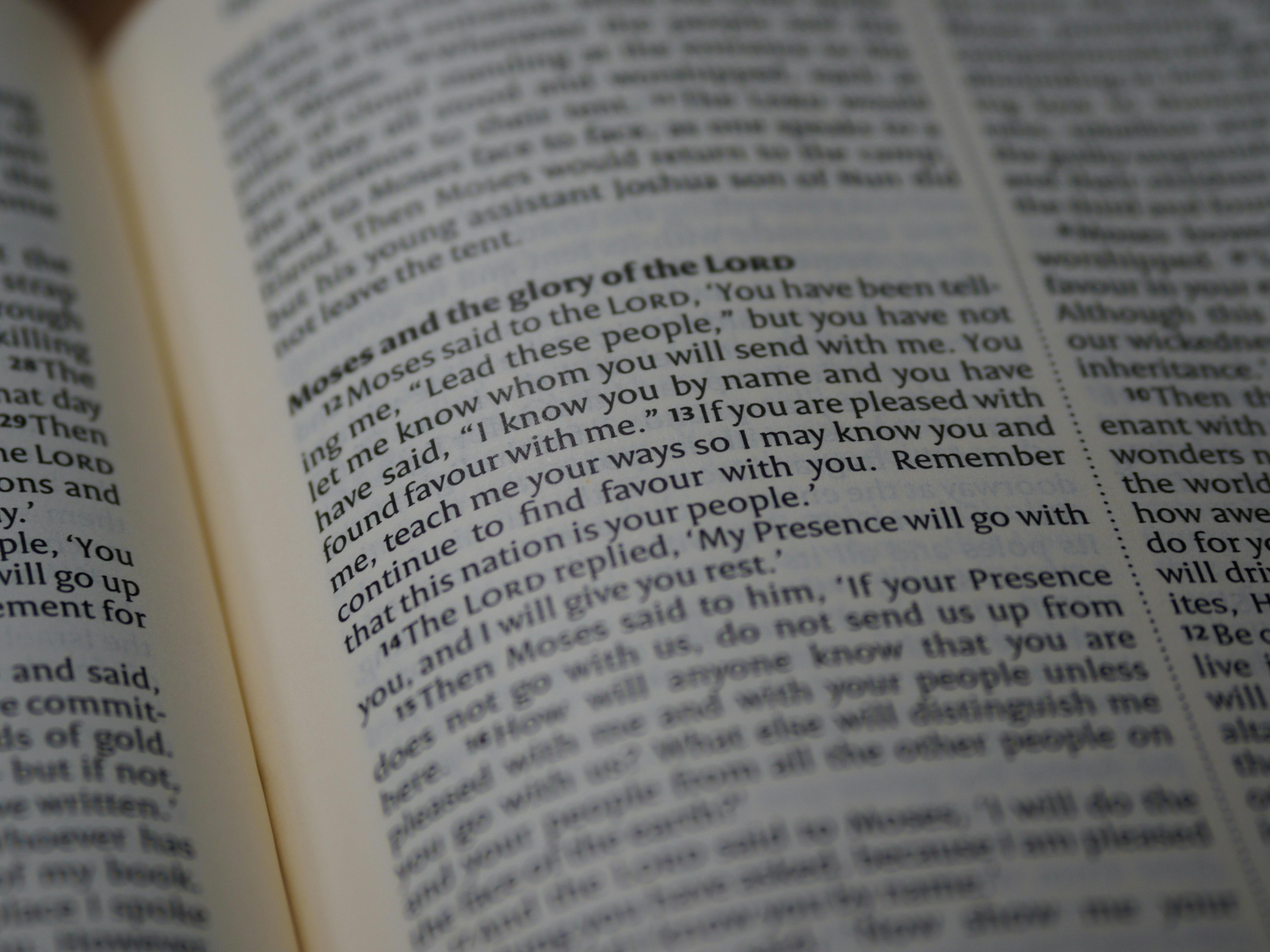 Person Holding White and Red Book · Free Stock Photo