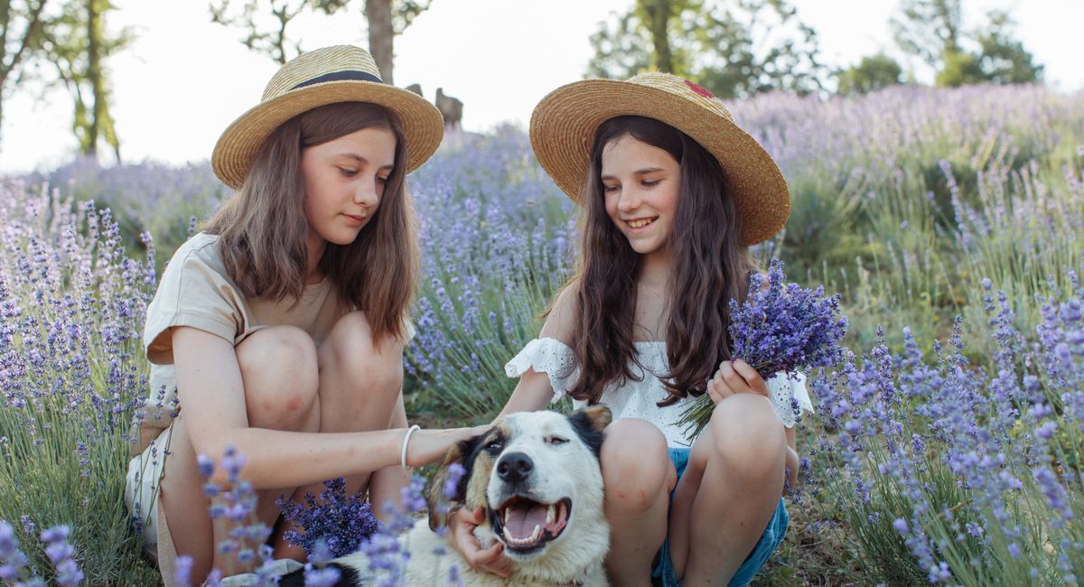 Illustration, partir en vacances avec son chien en italie