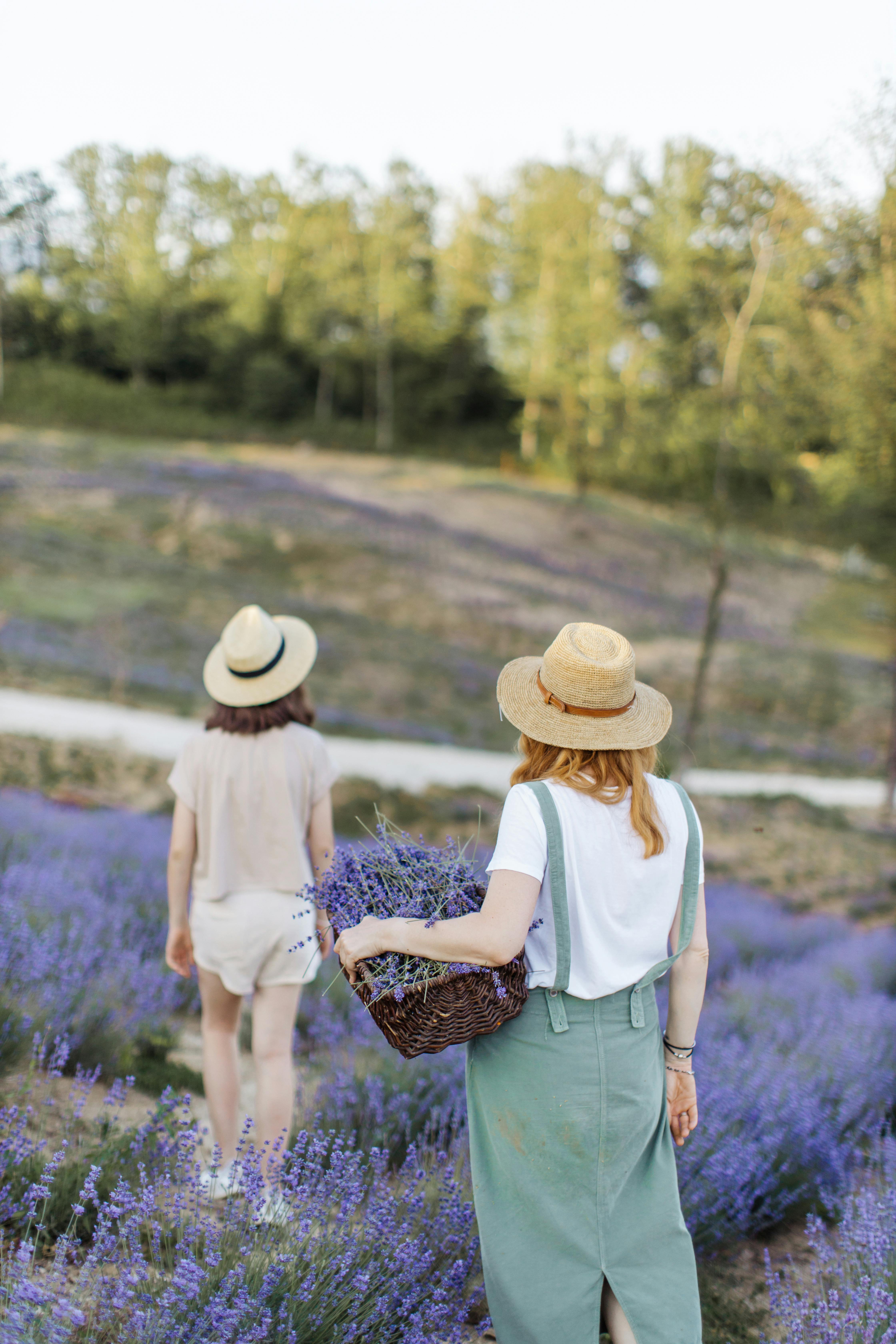 Two women in straw hats walking through a lavender field under sunlight.