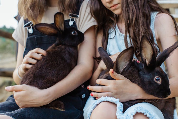 Girls Petting Rabbits On Their Laps