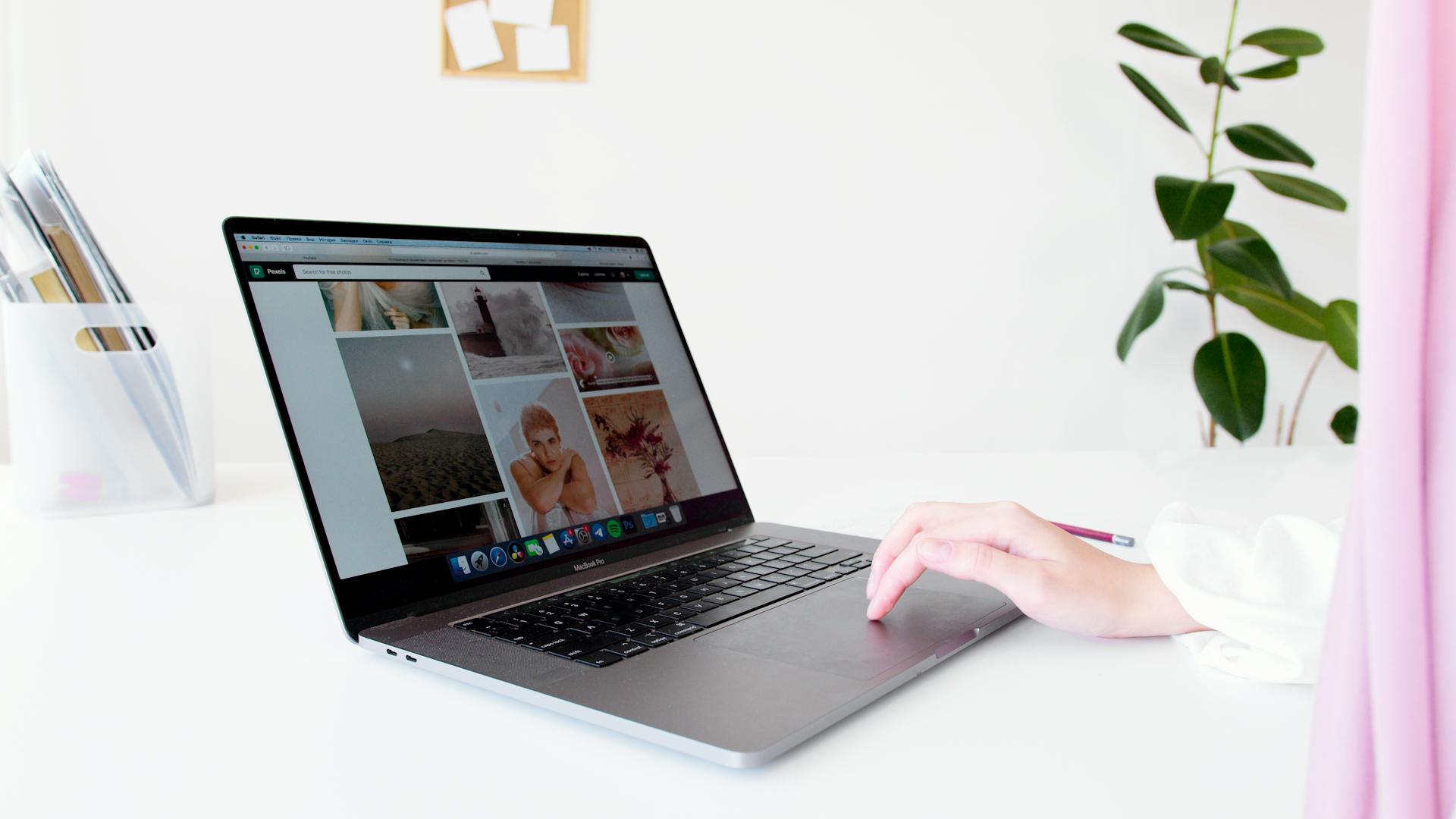 Bright modern office setup with laptop and green indoor plant, ideal for productivity and design inspiration.