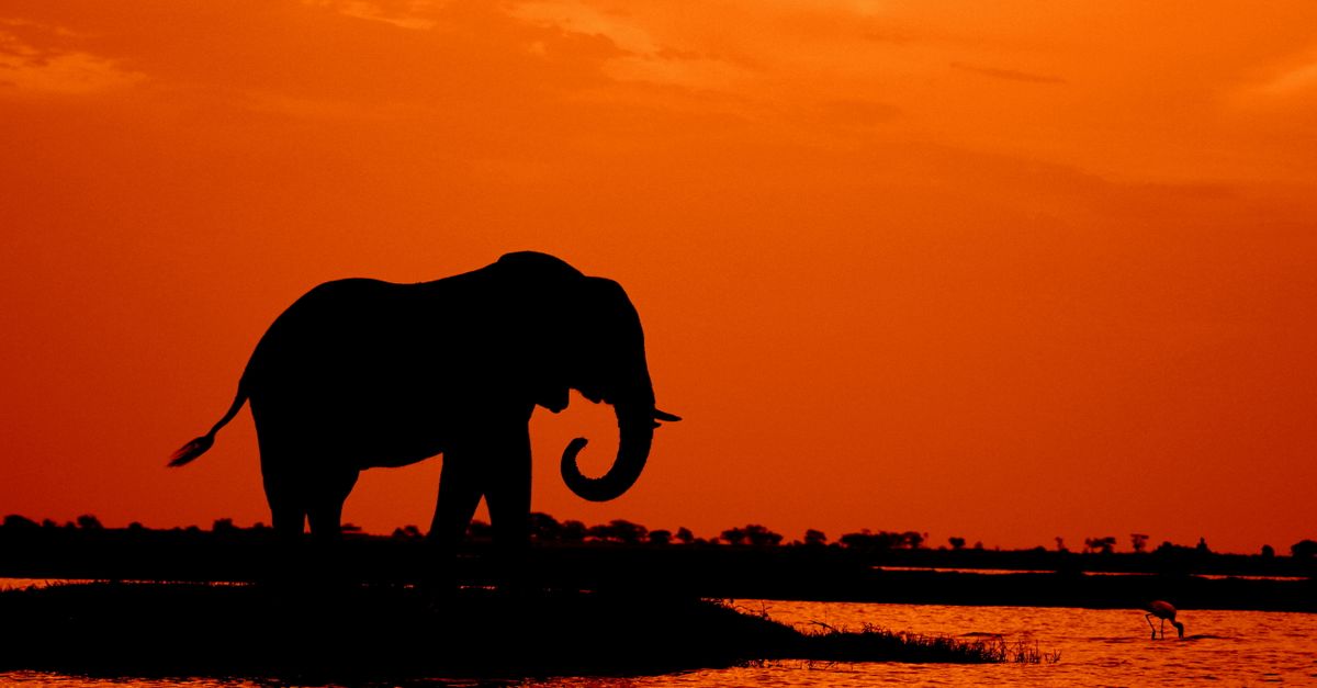 Photo of Botswana