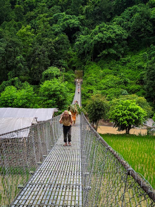 Darmowe zdjęcie z galerii z bambus, chodzić, drut