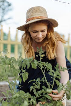 A woman wearing a sunhat tends to tomato plants in a vibrant garden setting.