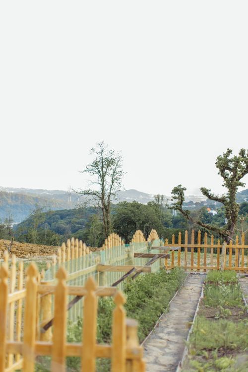 Brown wood privacy fence along a residential garden
