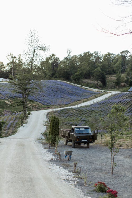 Immagine gratuita di ambiente, auto, camioncino