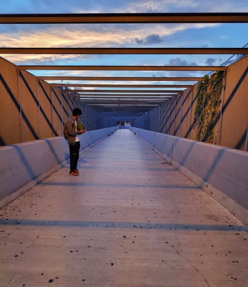 Free stock photo of bridge, golden hour