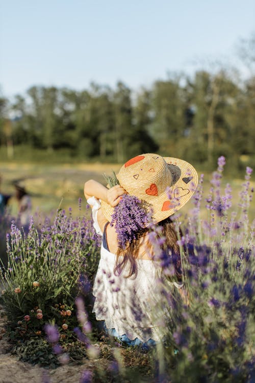 Gratis stockfoto met achteraanzicht, bloemen, hoed