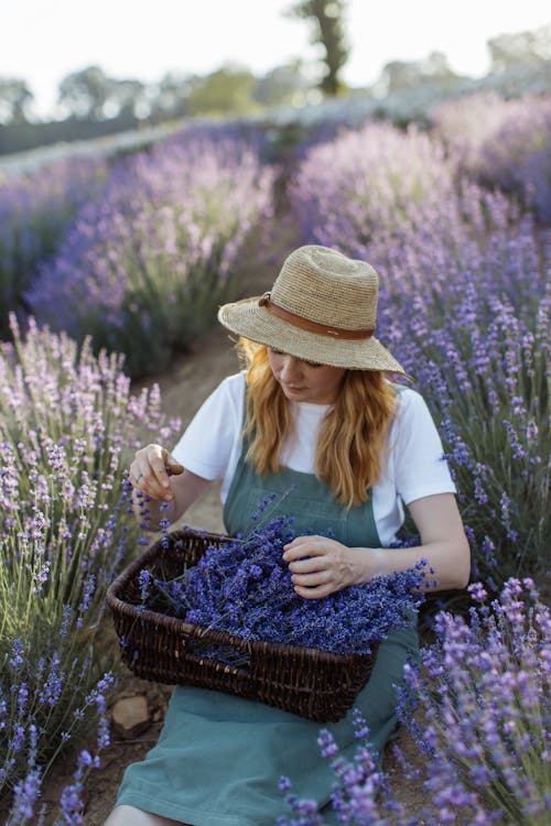 A Woman in White Shirt Sitting on the Field while Holding a Basket with Lavender Flowers