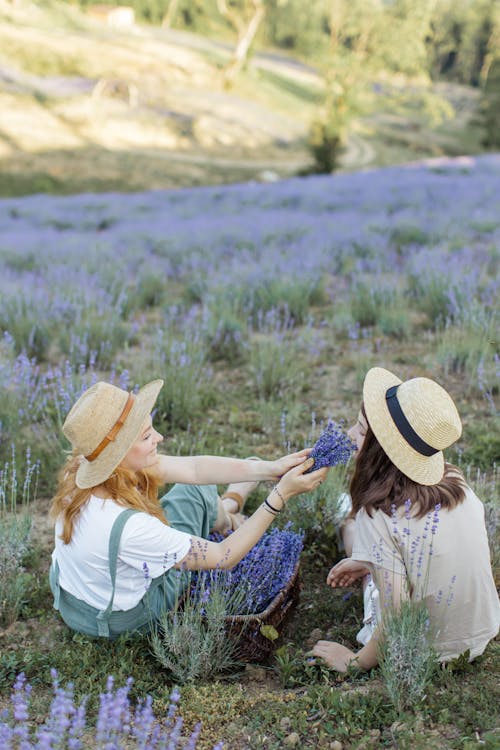 Photos gratuites de amis, brin d'herbe, campagne