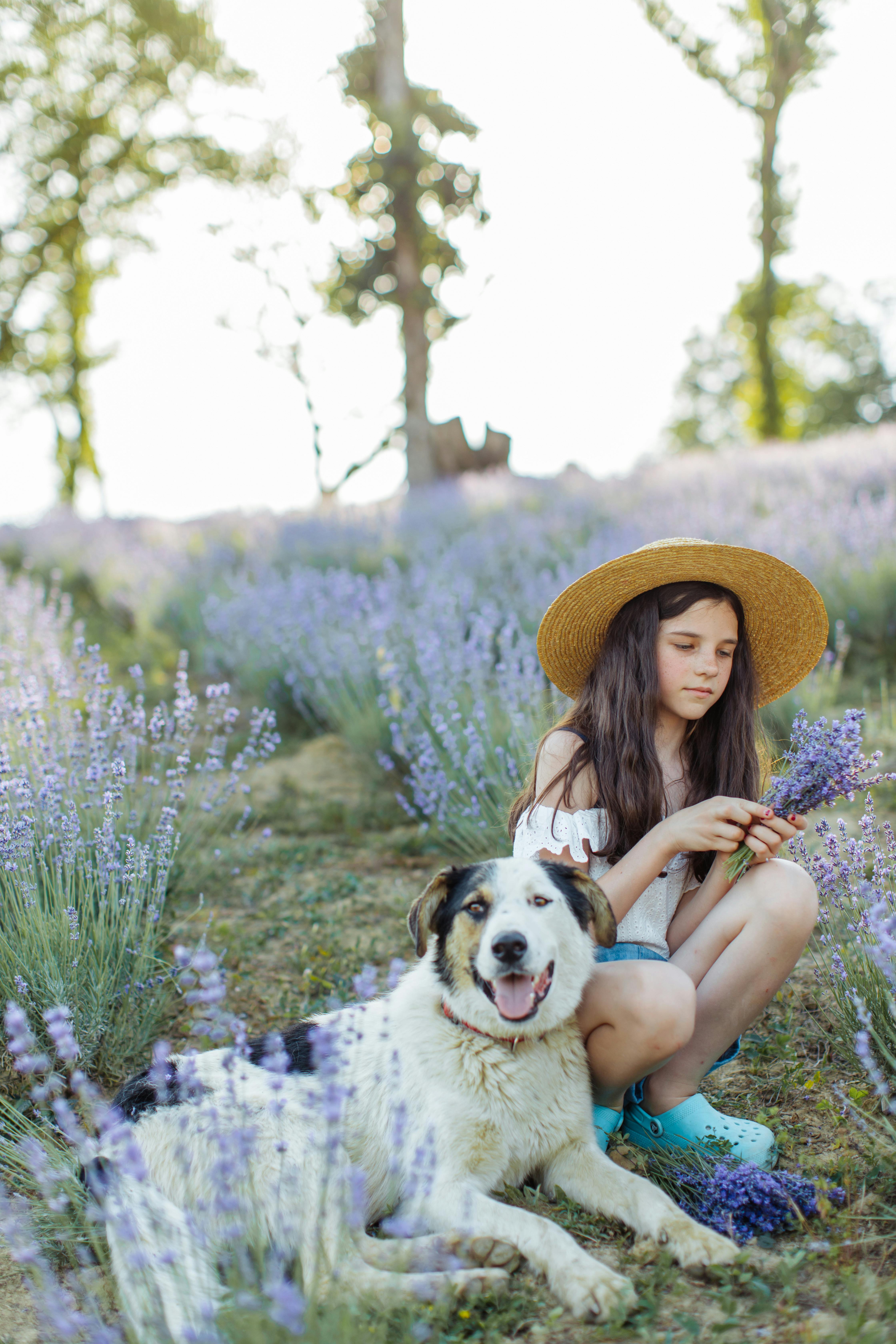 a young girl sitting in a lavender field beside her dog